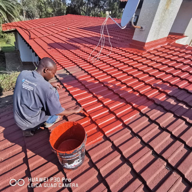 Roof coating project